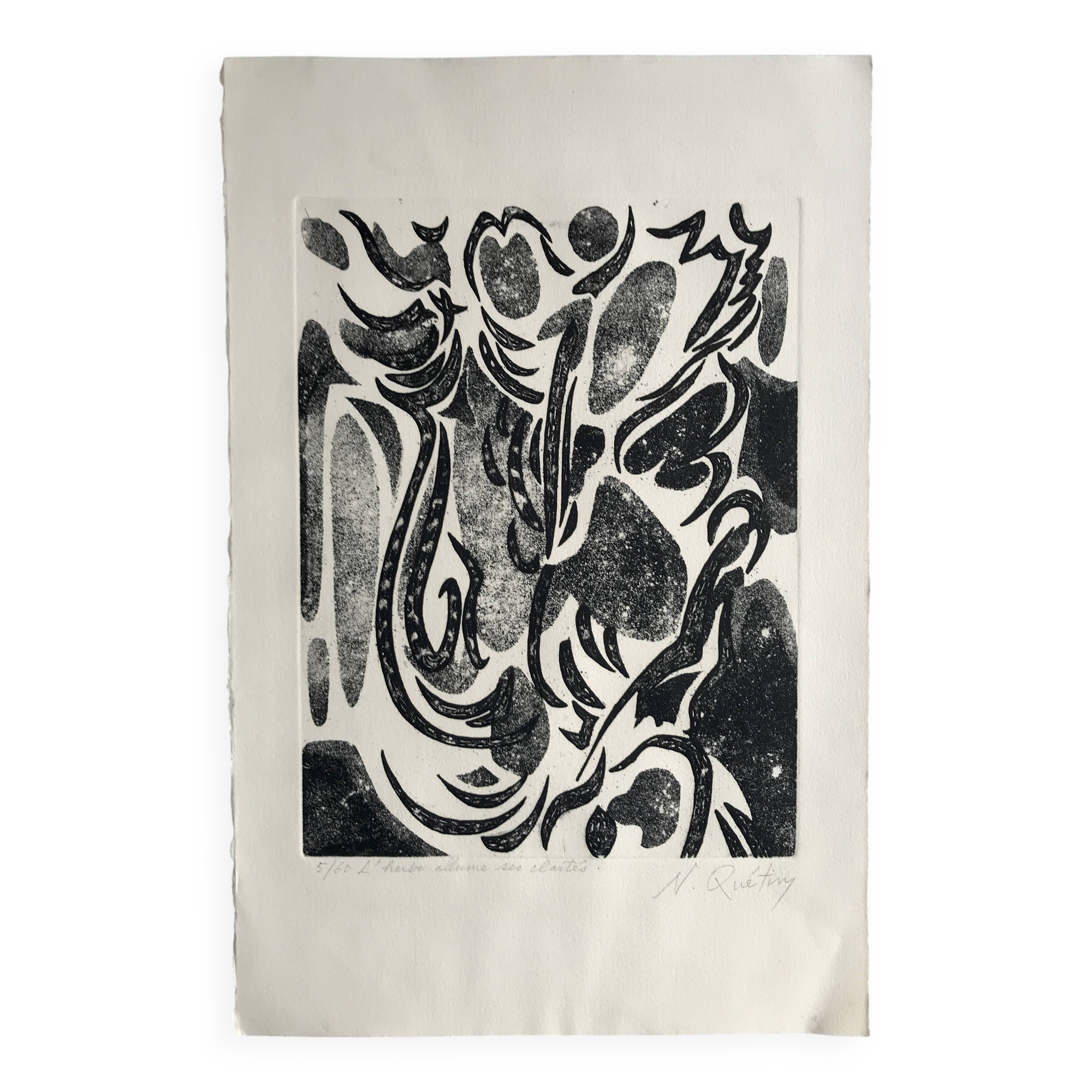 Nicole quétin, the grass lights up its lights, c. 1990. etching signed in pencil