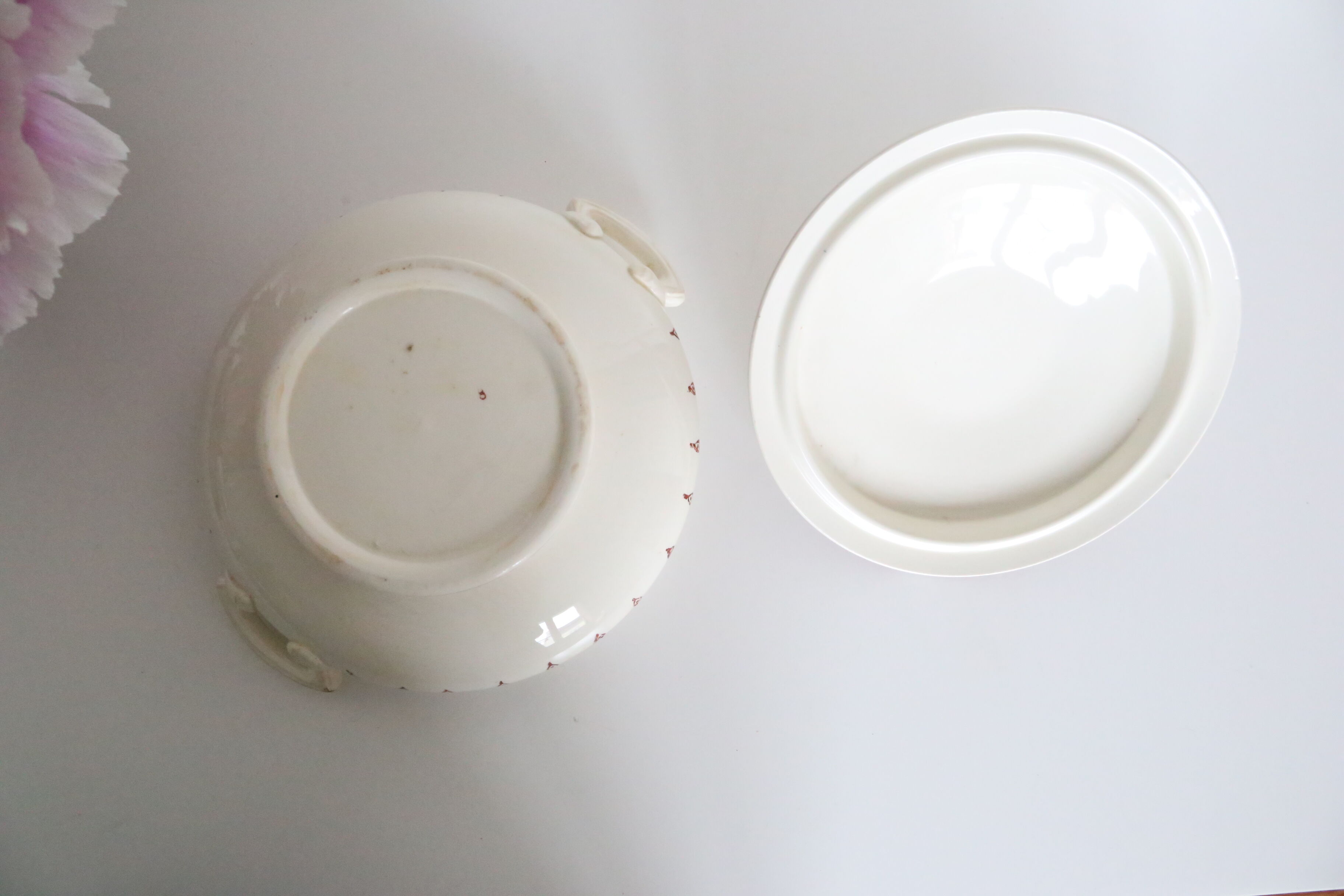 Pretty Red Iron Earth soup