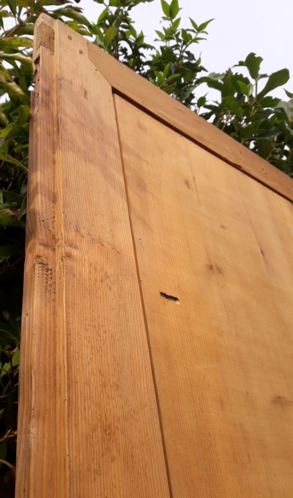 Paire de portes 248x129cm anciennes