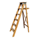 Montana France painter's stepladder