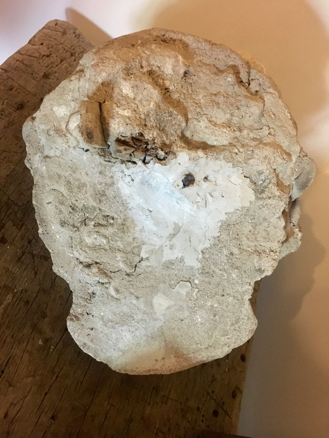 Plaster head