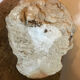 Plaster head