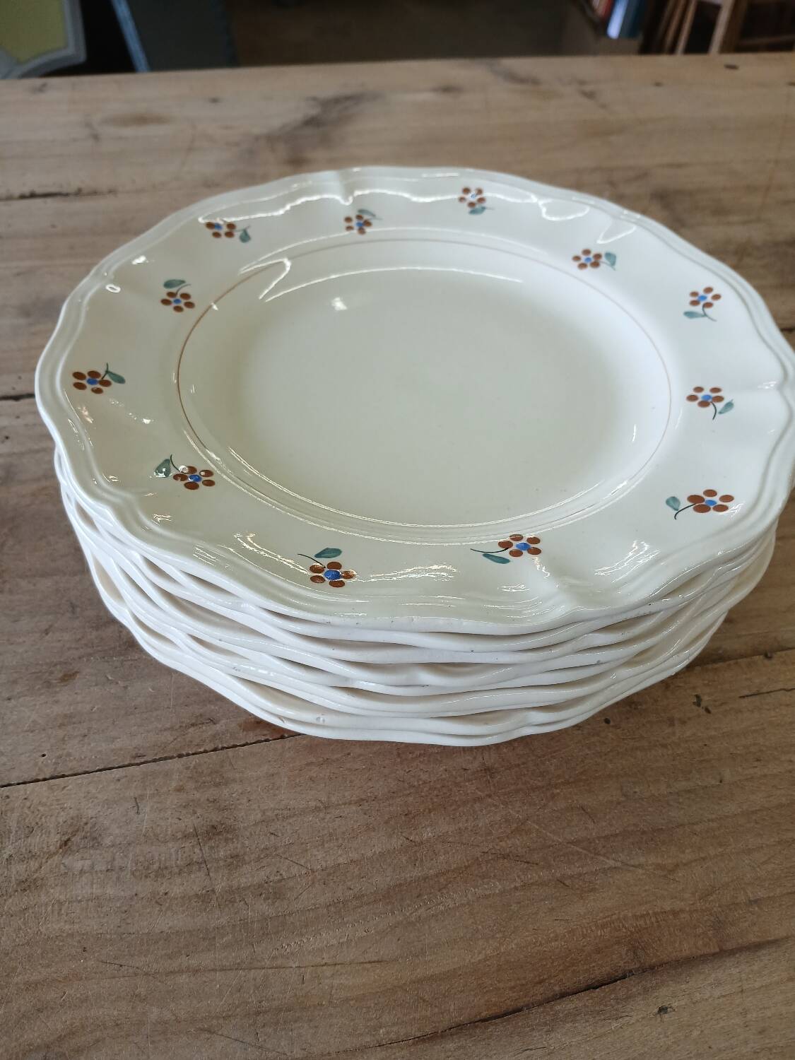 9 old flat plates Digoin Sarreguemines