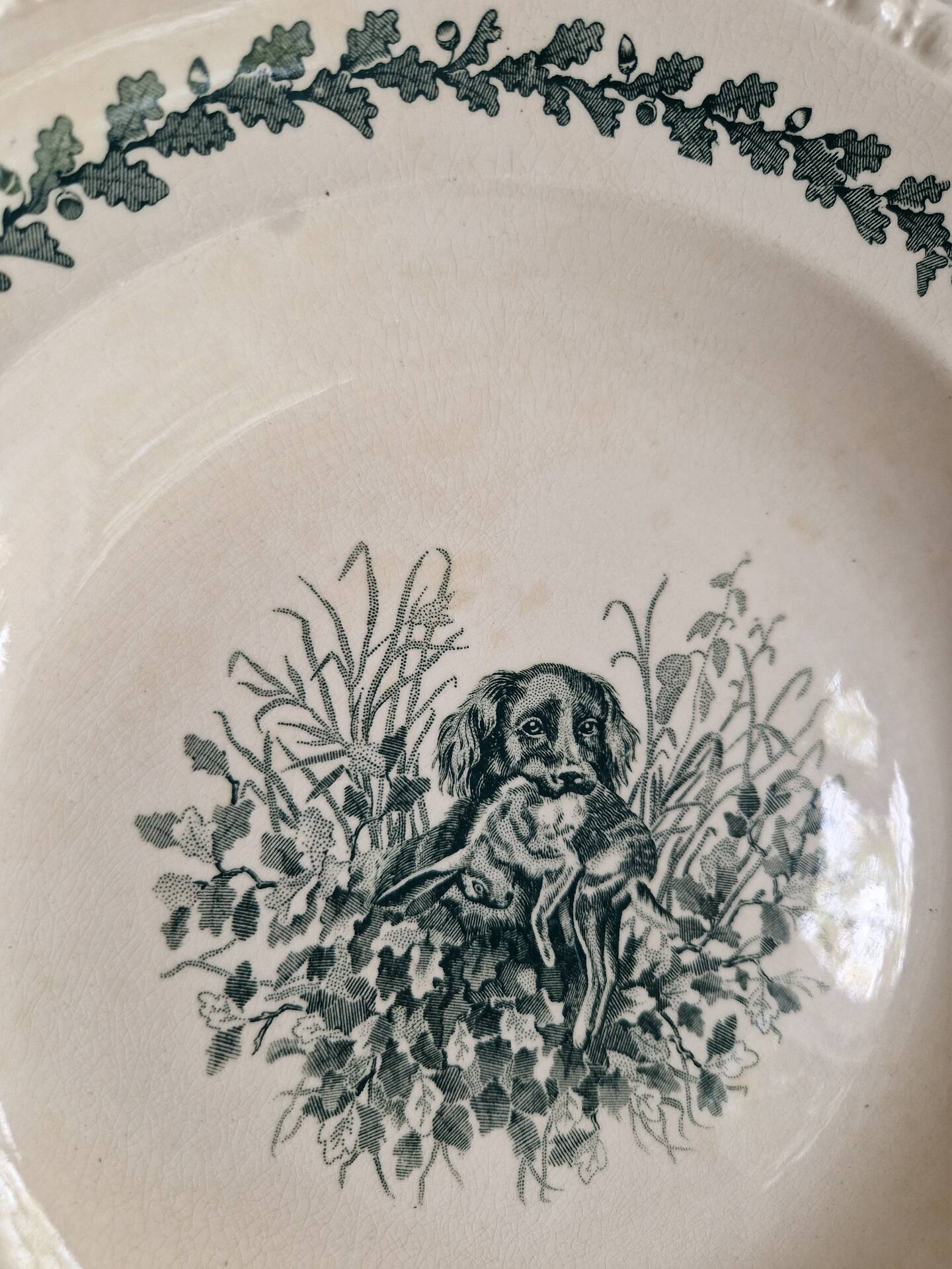 Set of 2 Deep Plates Villeroy and Boch Model Diana
