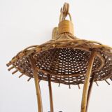 rattan wall lamp for hanging plant