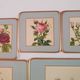 Set of 6 coasters, 6 plates coasters and 2 vintage pimpernel acrylic trivets
