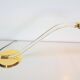 Vintage Cobra Desk Lamp in Brass and Acrylic from Grupo Mci, 1970