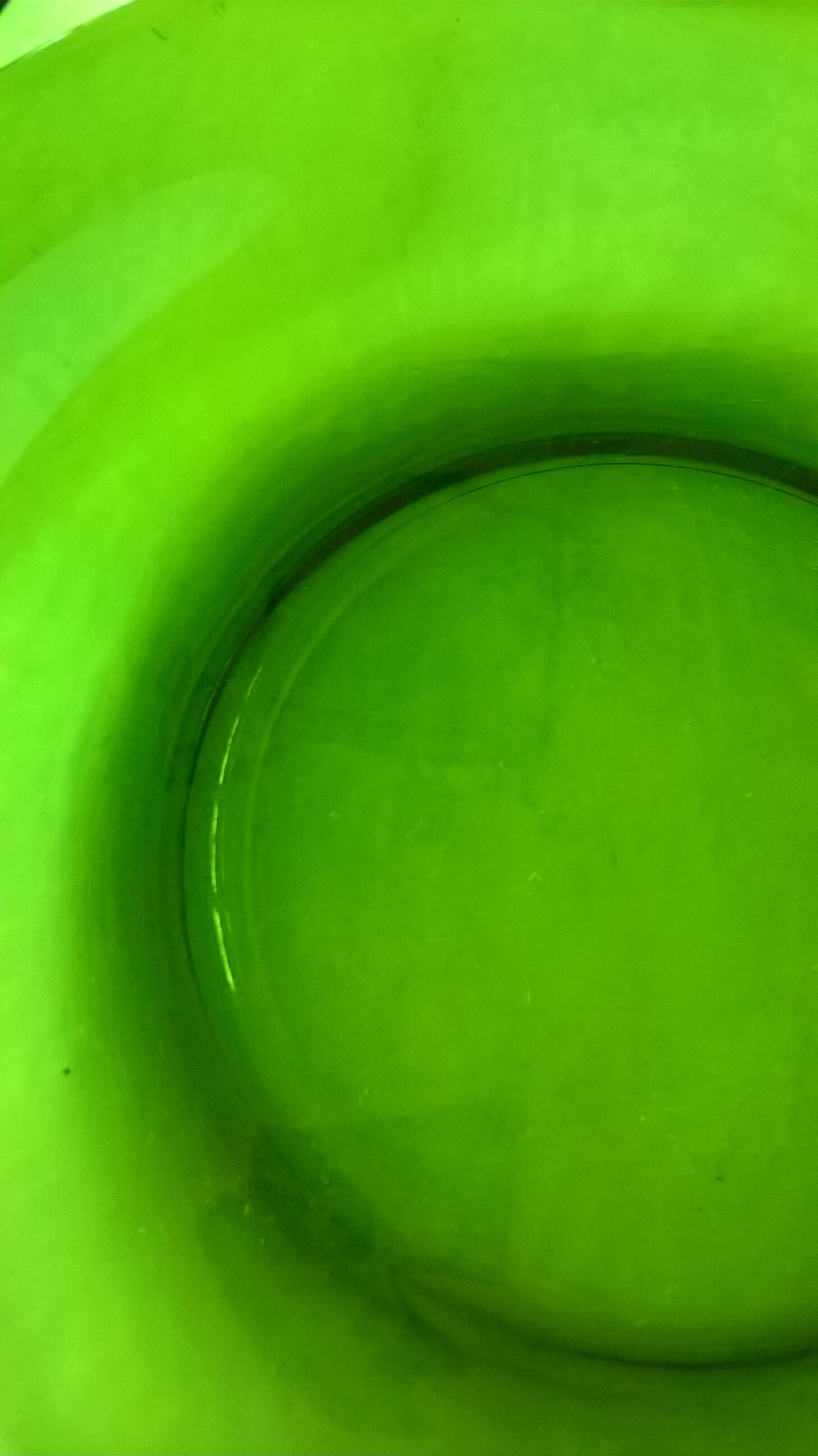 Lot of 6 hollow plates Vereco