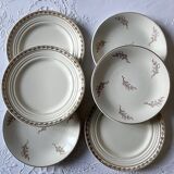 Assorted dessert plates