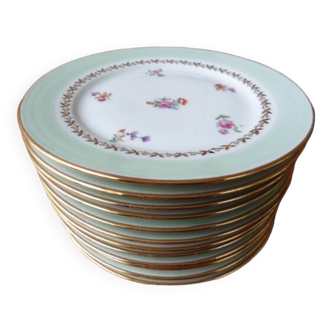 12 PL Limoges porcelain dessert plates 17.8 cm flower decoration