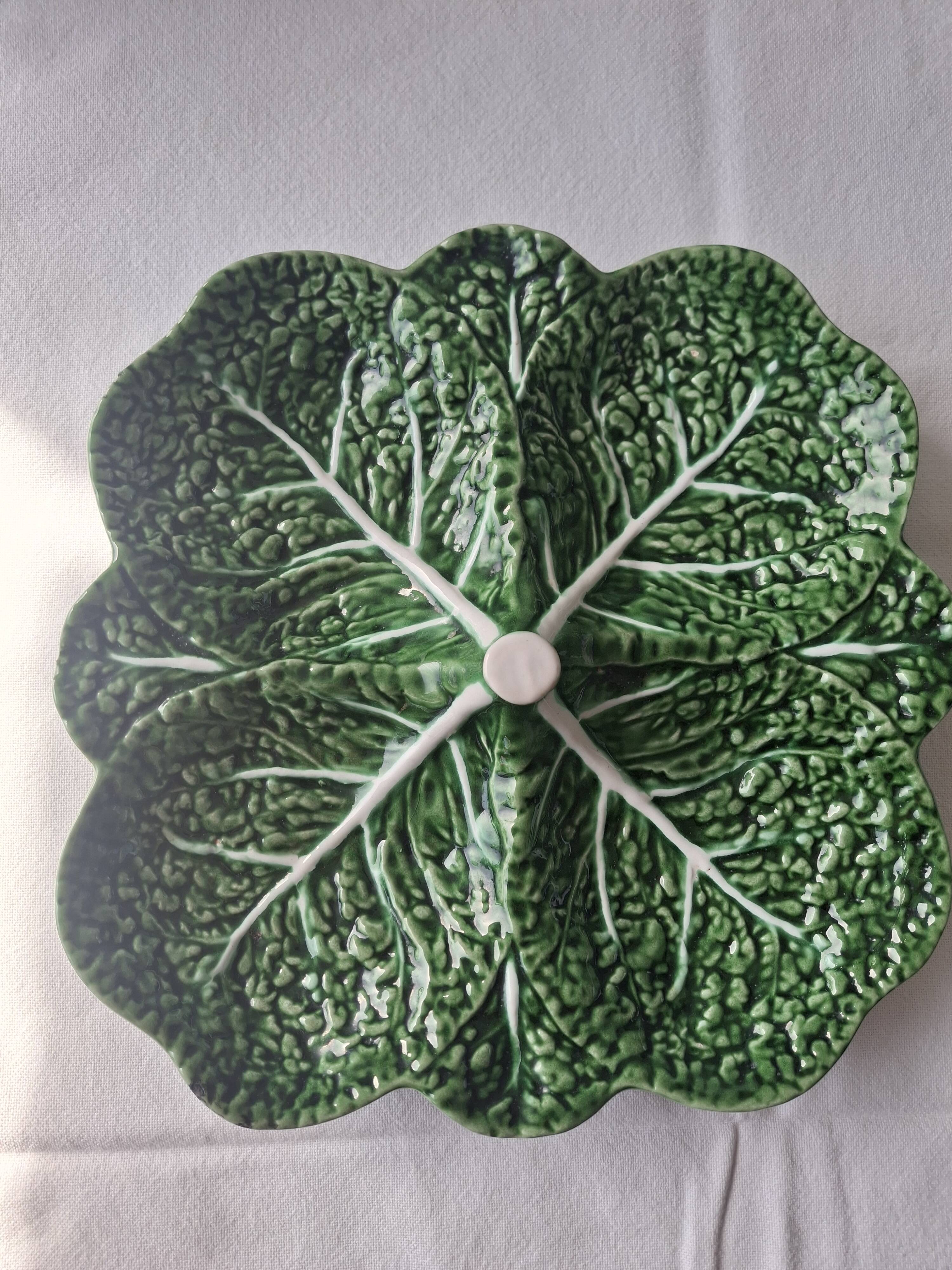 cabbage dish