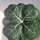 cabbage dish
