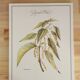 Botanical board Nettle