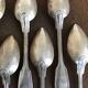 Lot 12 tablespoons in silver metal Cailar & Bayard goldsmith