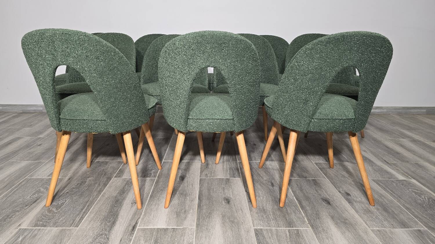 Dining Chairs by Antonin Suman, 1960s, Set of 12