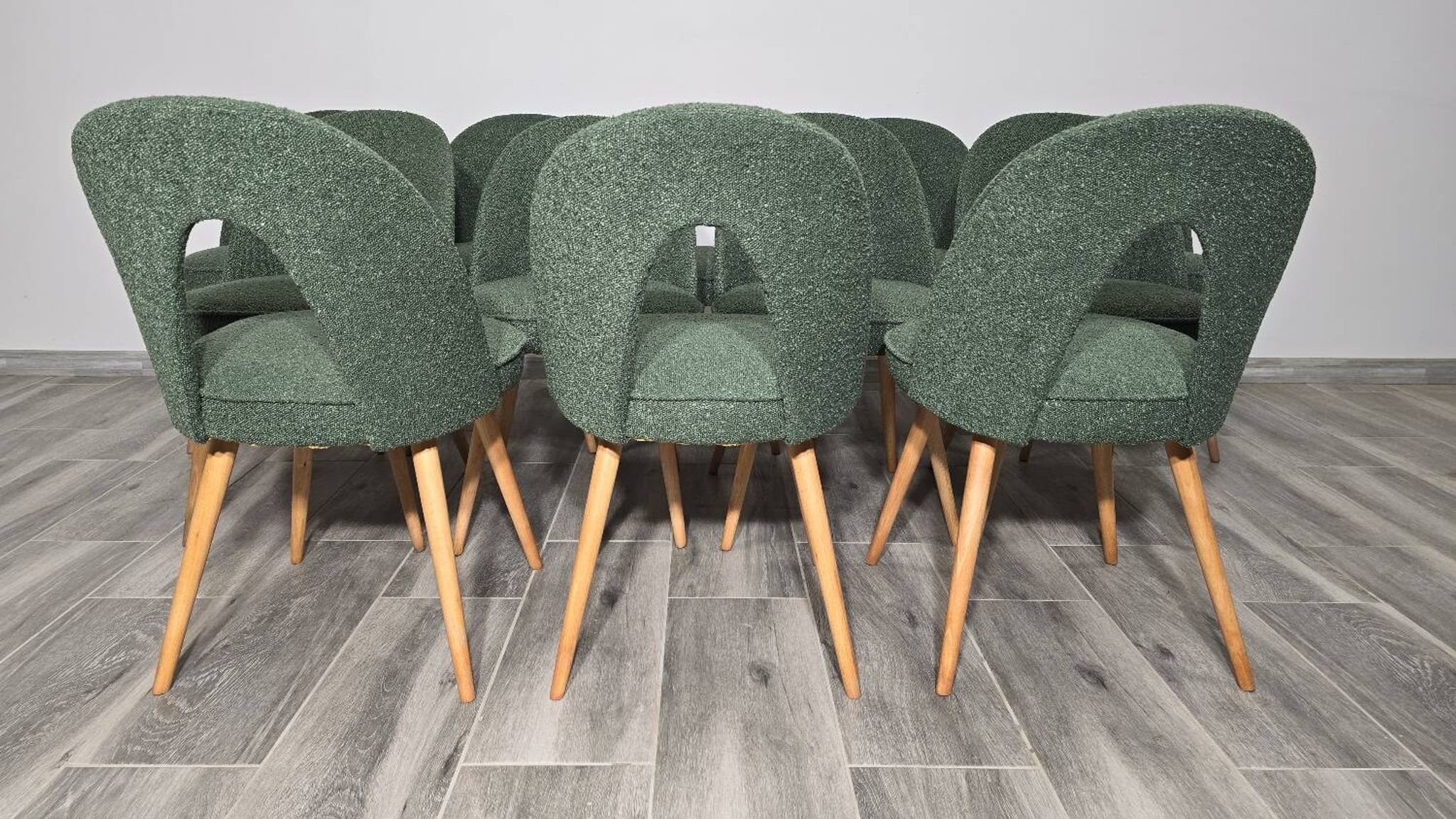 Dining Chairs by Antonin Suman, 1960s, Set of 12