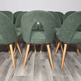 Dining Chairs by Antonin Suman, 1960s, Set of 12