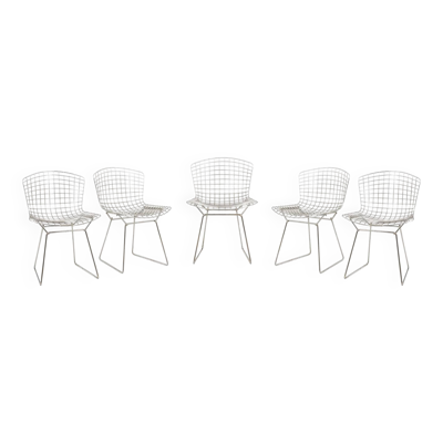Série de 5 chaises, Harry Bertoia pour Knoll, années 1970.