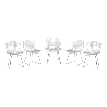 Harry Bertoia for Knoll. Set of 5 chairs. 1970s.