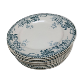 12 Assiettes terre de6fer
