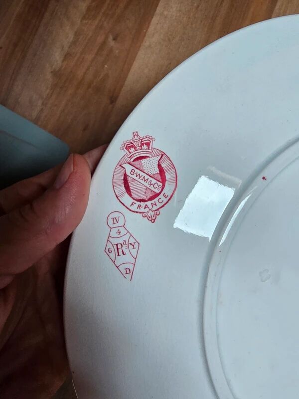 A pair of old flat plates with red and blue bird patterns.