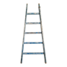 Old blue wooden ladder