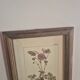 set of 3 vintage floral plant triptych posters