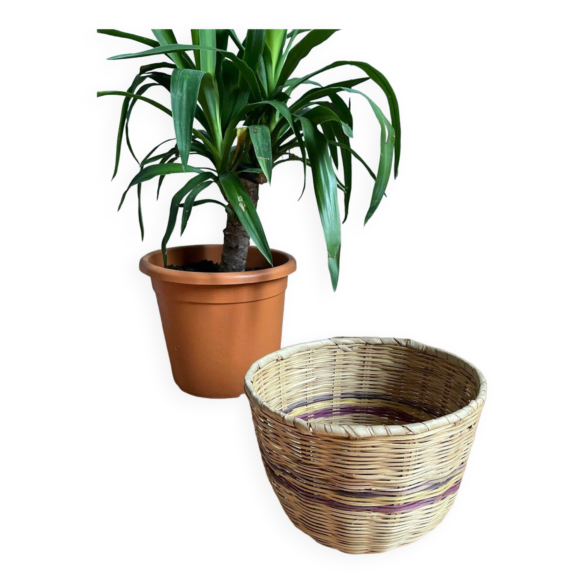 Wicker plant pot
