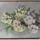 Nature morte aux poires de Suzanne Gueguen. Huile sur Panneau . Signature.