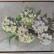 Nature morte aux poires de Suzanne Gueguen. Huile sur Panneau . Signature.