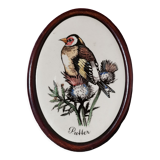 Goldfinch bird frame