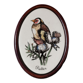 Goldfinch bird frame