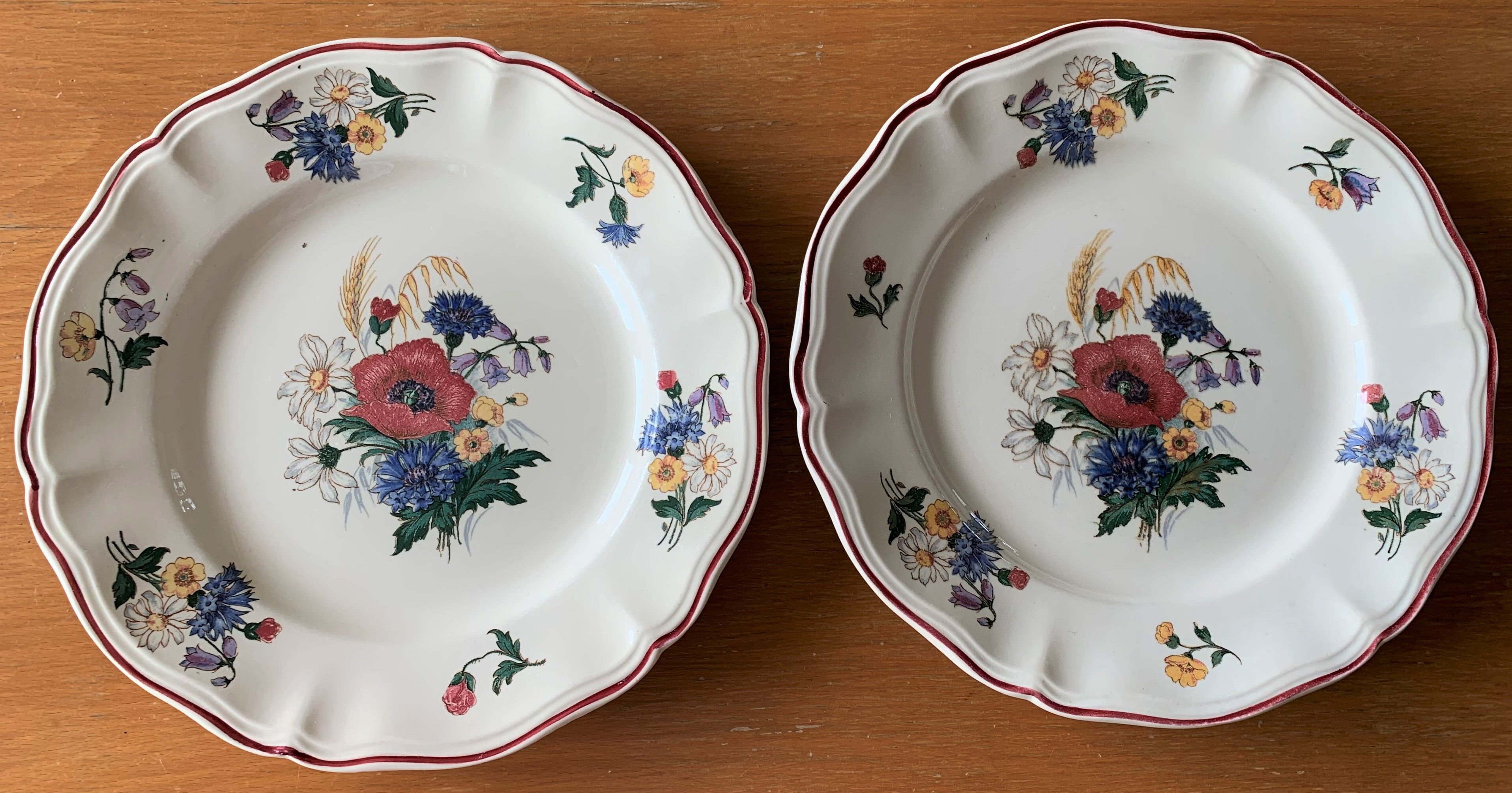 8 old plates in earthenware from Sarreguemines