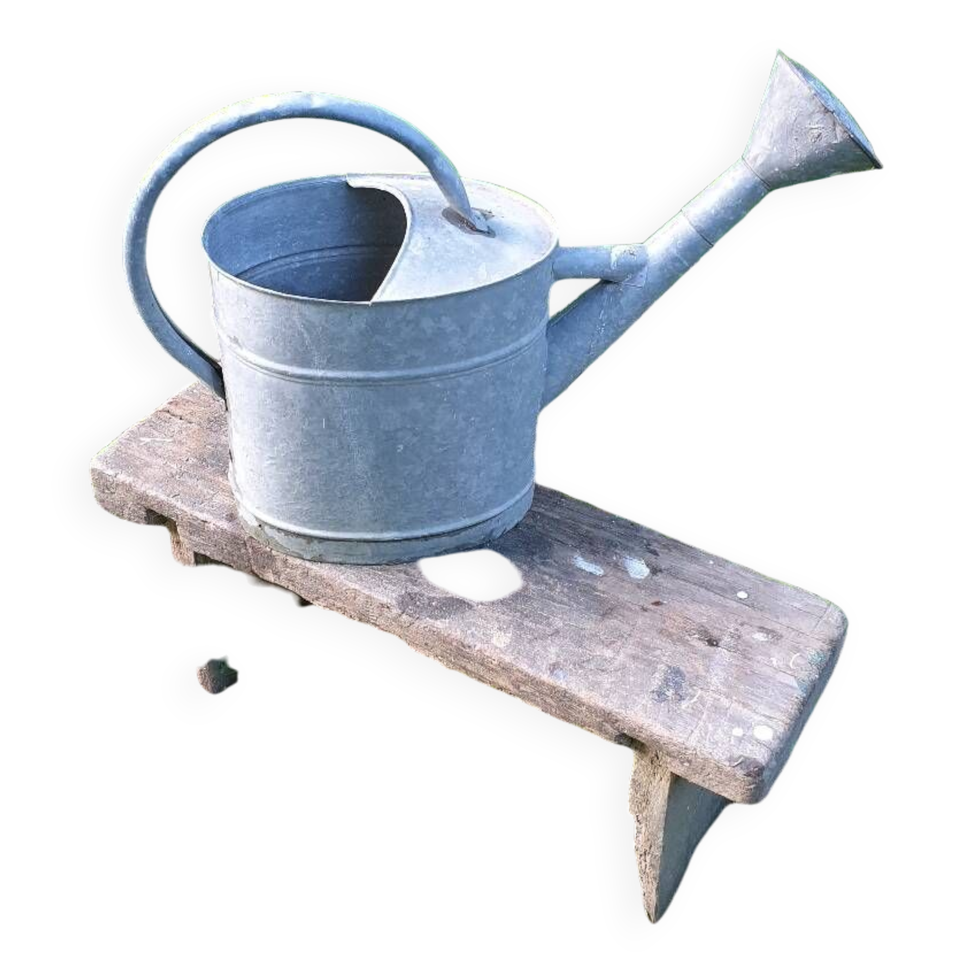 Vintage zing watering can