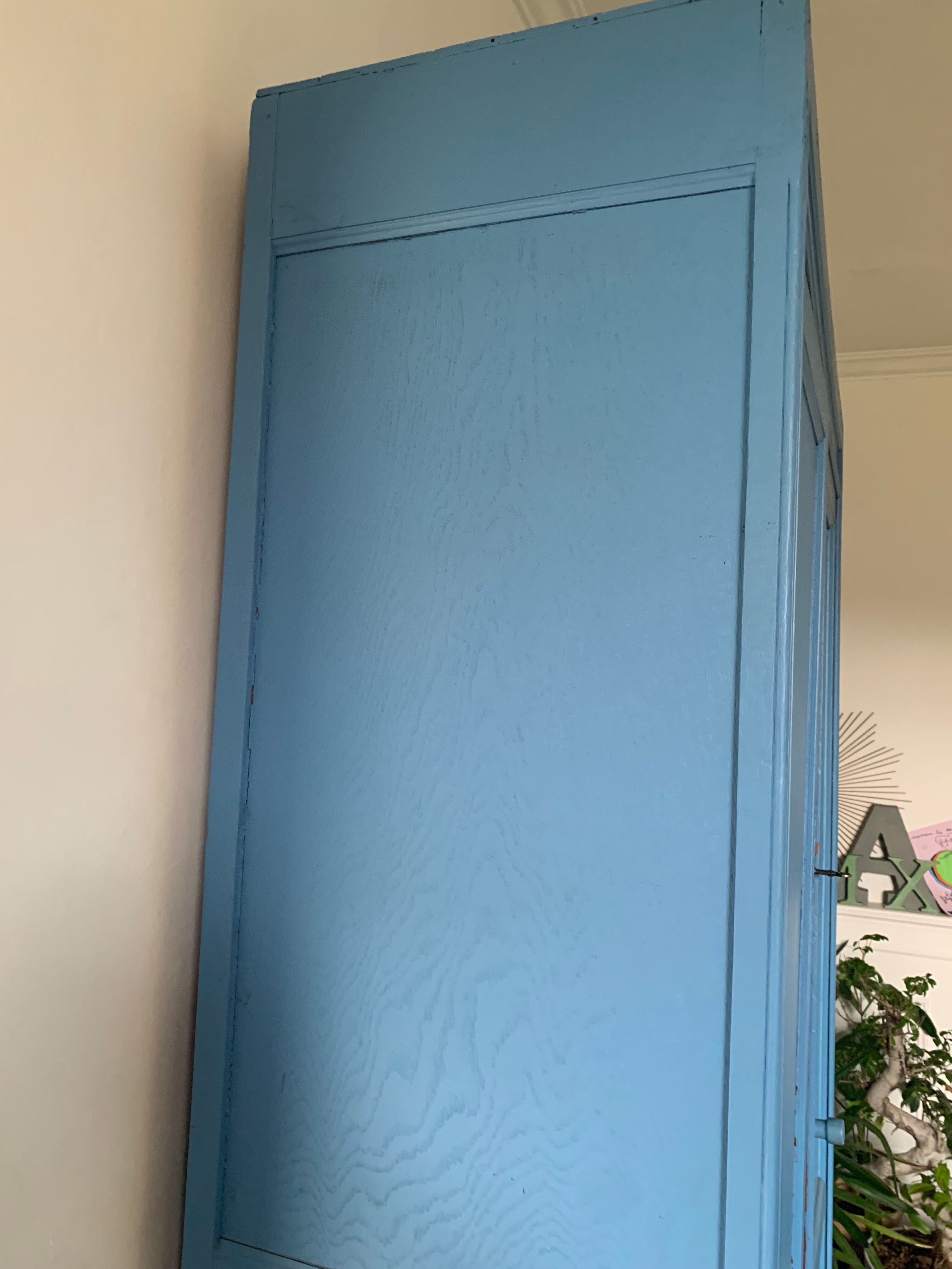 Vintage parisian cabinet