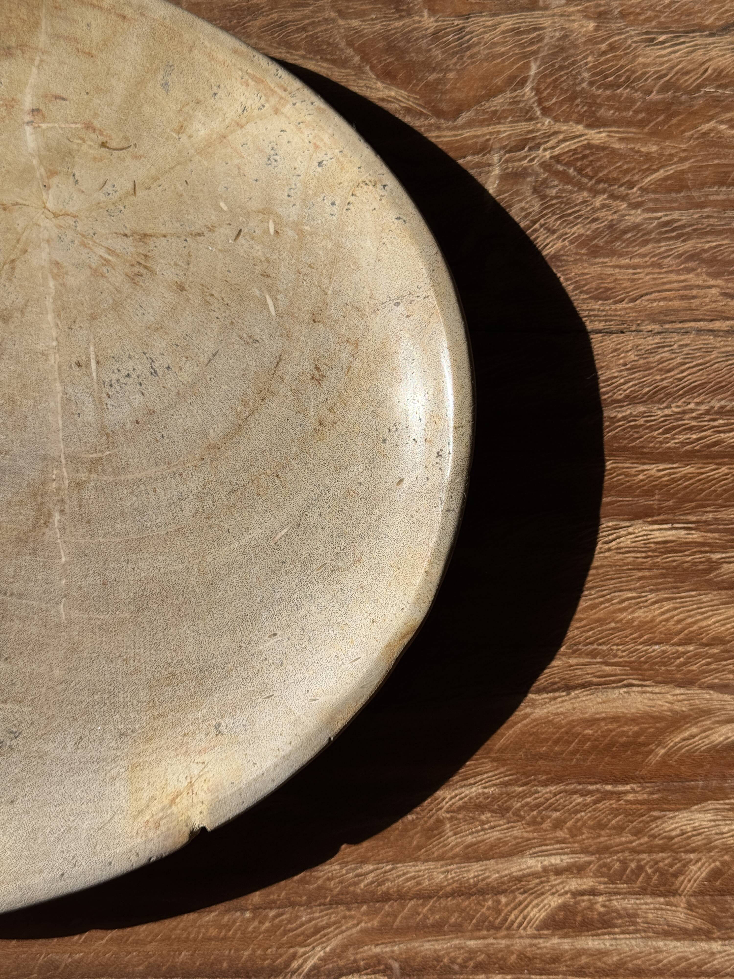Small oval beige solid petrified wood tray or pocket emptier D24-19 -3311