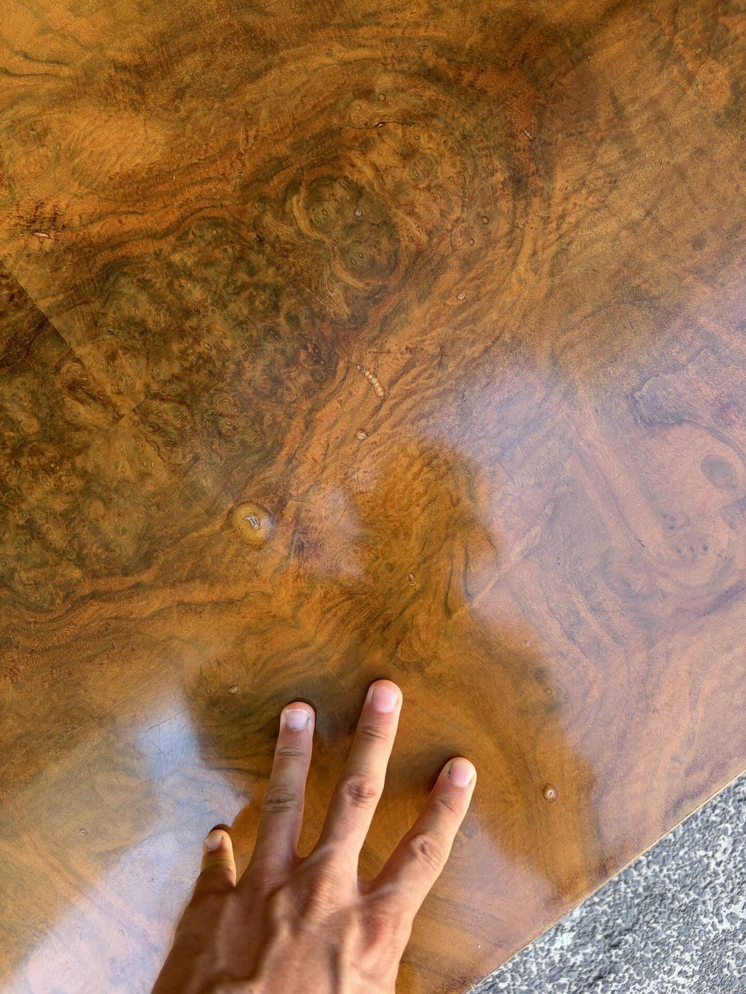 Table basse loupe d'orme et laiton 70' Roche Bobois