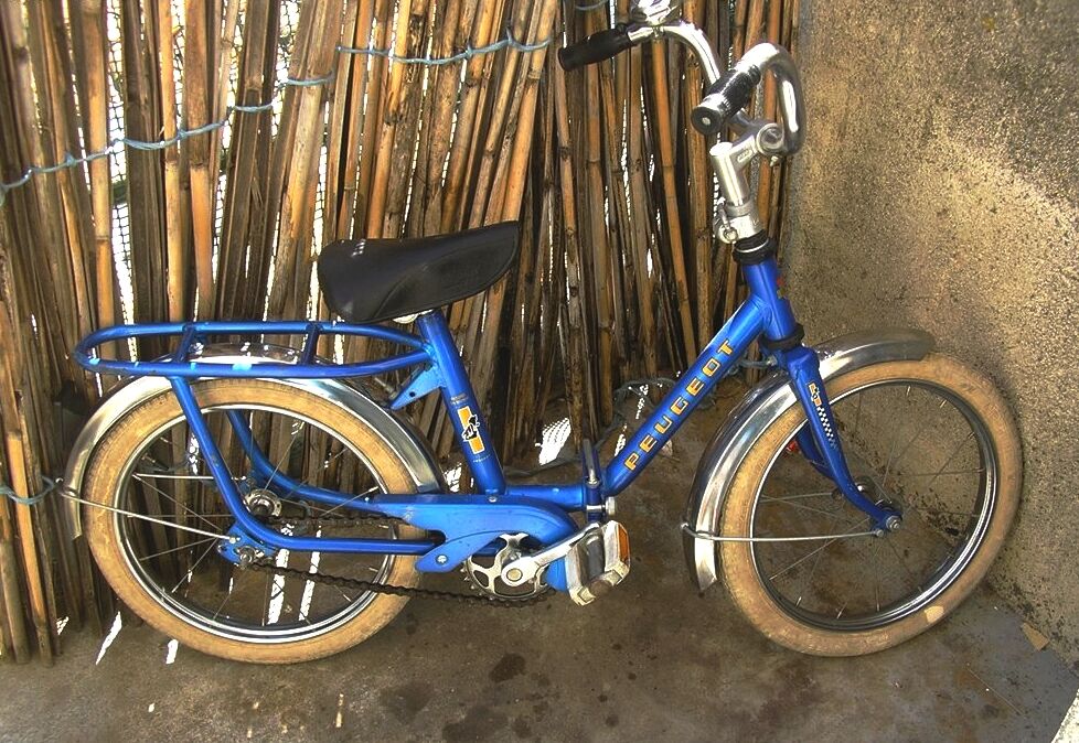 Small vintage bike \