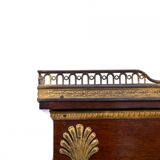 Unique Empire library display cabinet, France, circa 1820.