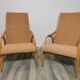 Lounge chairs by Antonin Suman