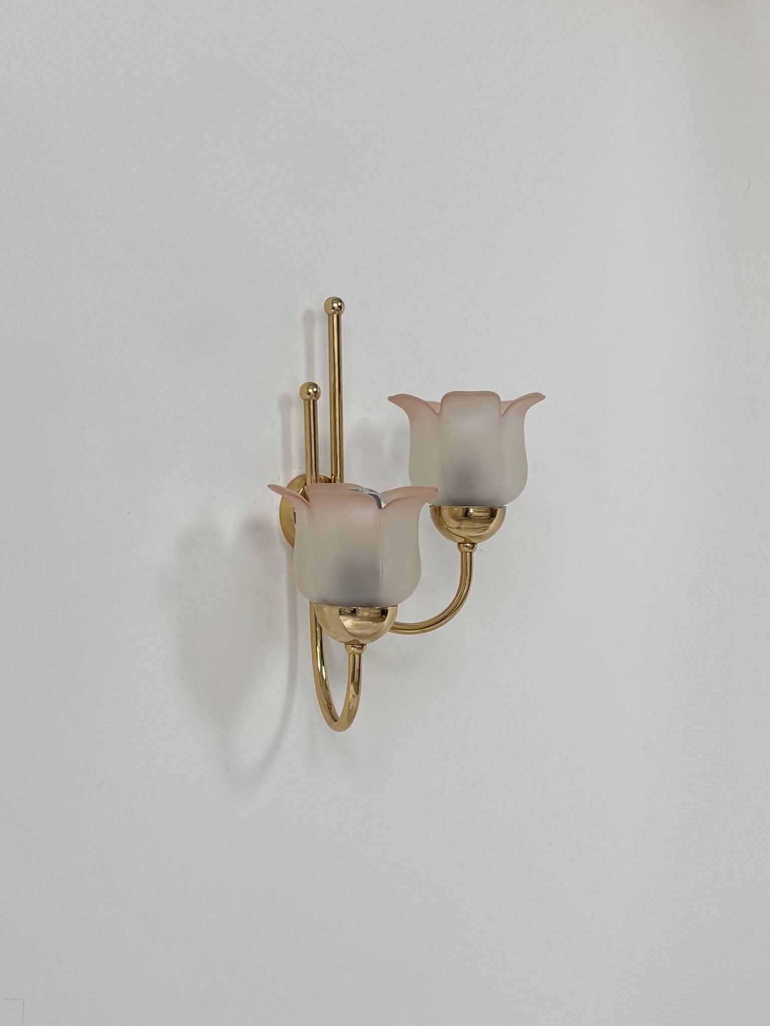 Vintage wall light, brass and frosted pink moulded glass, France, 1980.
