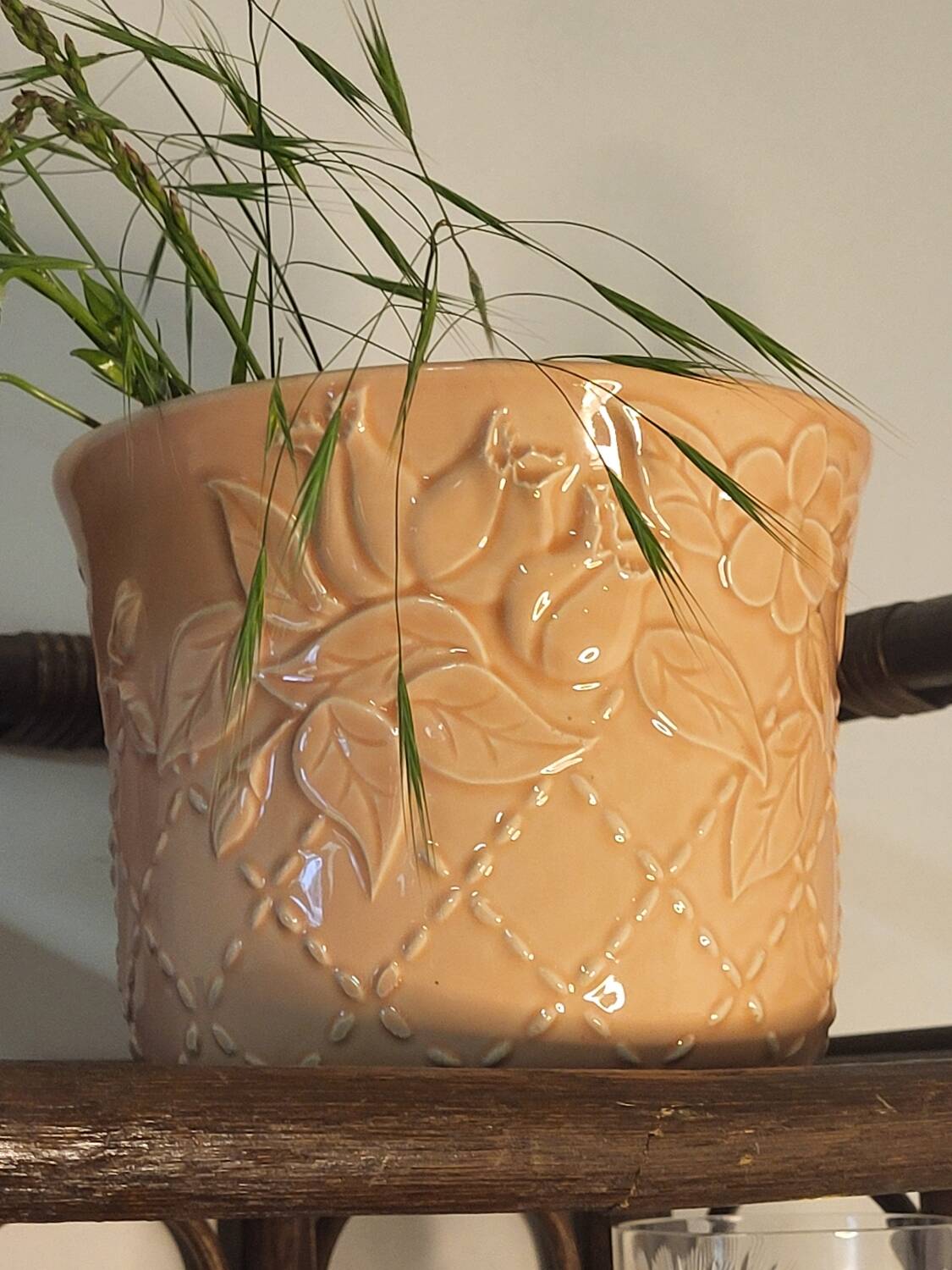 Apricot plant pot
