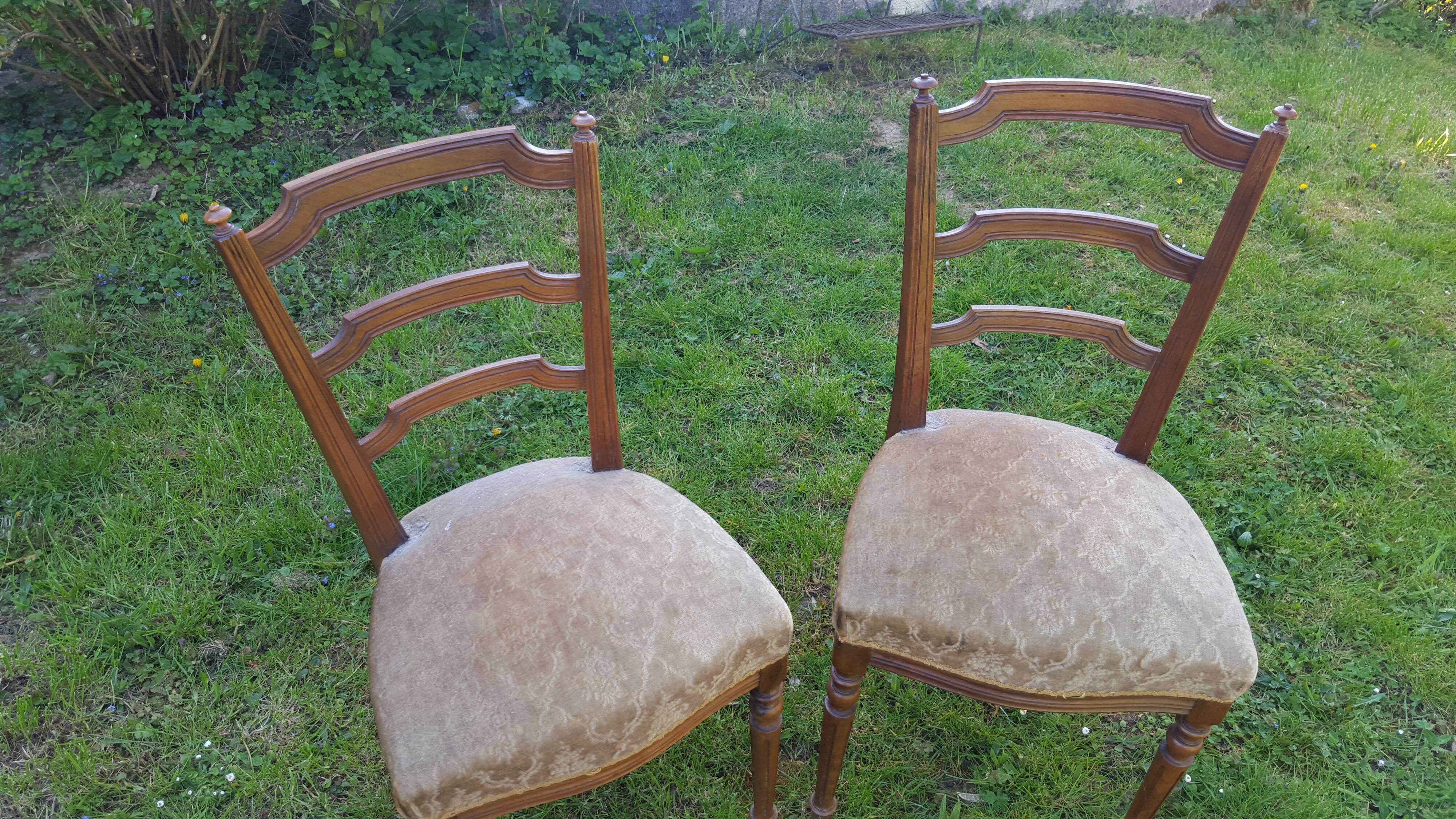 Pair of Napoleon III style chairs
