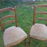 Pair of Napoleon III style chairs