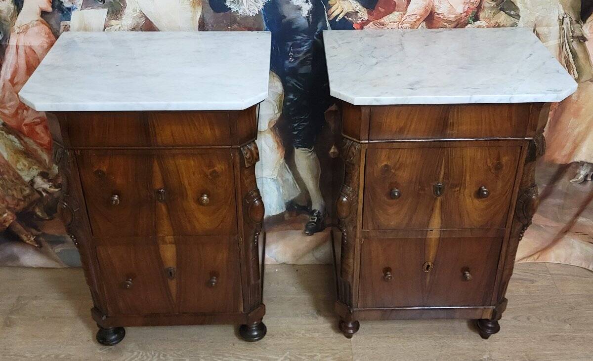 Rare pair of Italian display furniture from the Charles X period in mahogany.