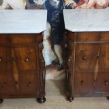 Rare pair of Italian display furniture from the Charles X period in mahogany.