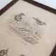Cadre lithographie oiseaux vintage