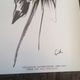 Pierre Balmain vintage fashion illustration by Erick - his photography