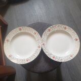 2 hollow plates Villeroy and Boch