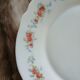 11 vintage dessert plates in Arcopal
